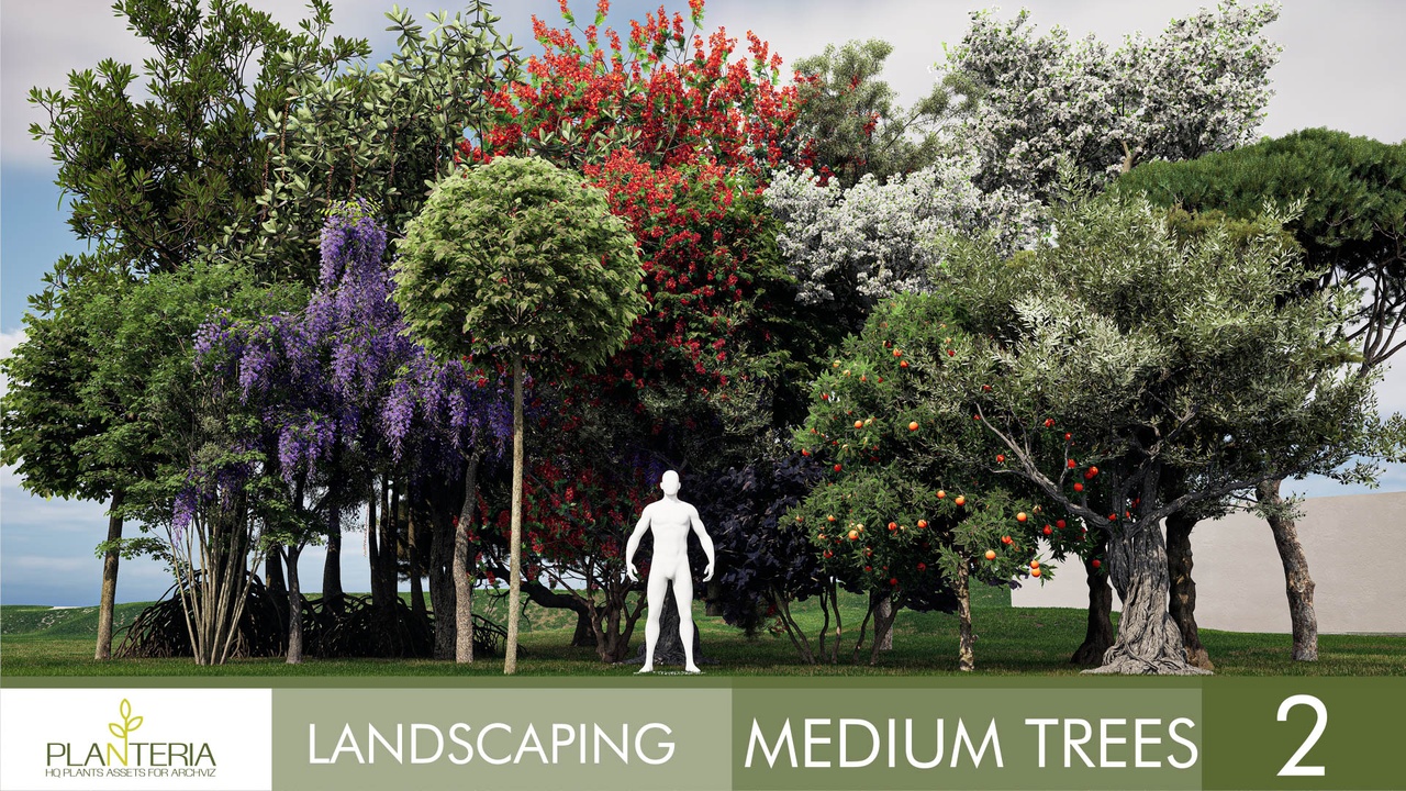 出品Landscaping Medium Trees 2のメディア1