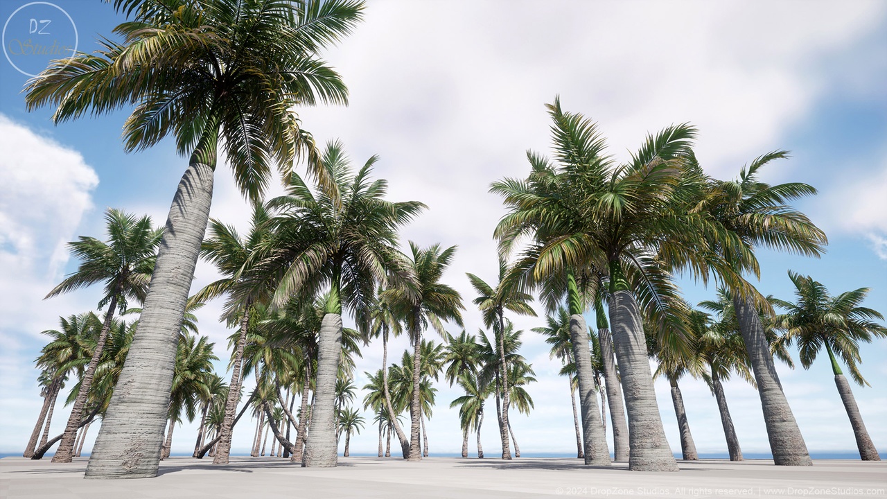 Media 1 for listing DZ Trees - Palms