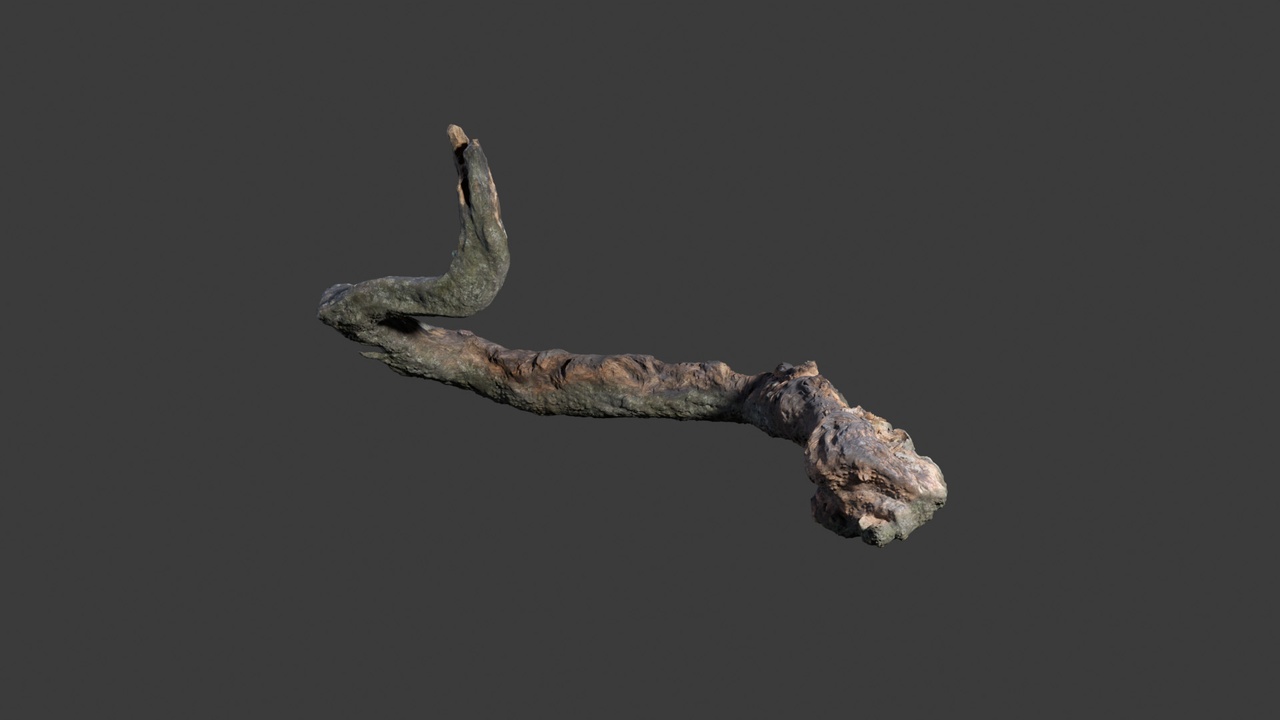 Media 1 for listing Fanal Forest Rotting Branch 01