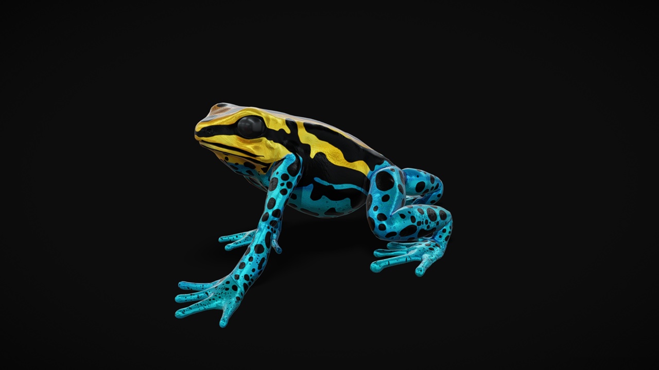 Media 1 for listing Amazonian Poison Frog 3D, Low poly