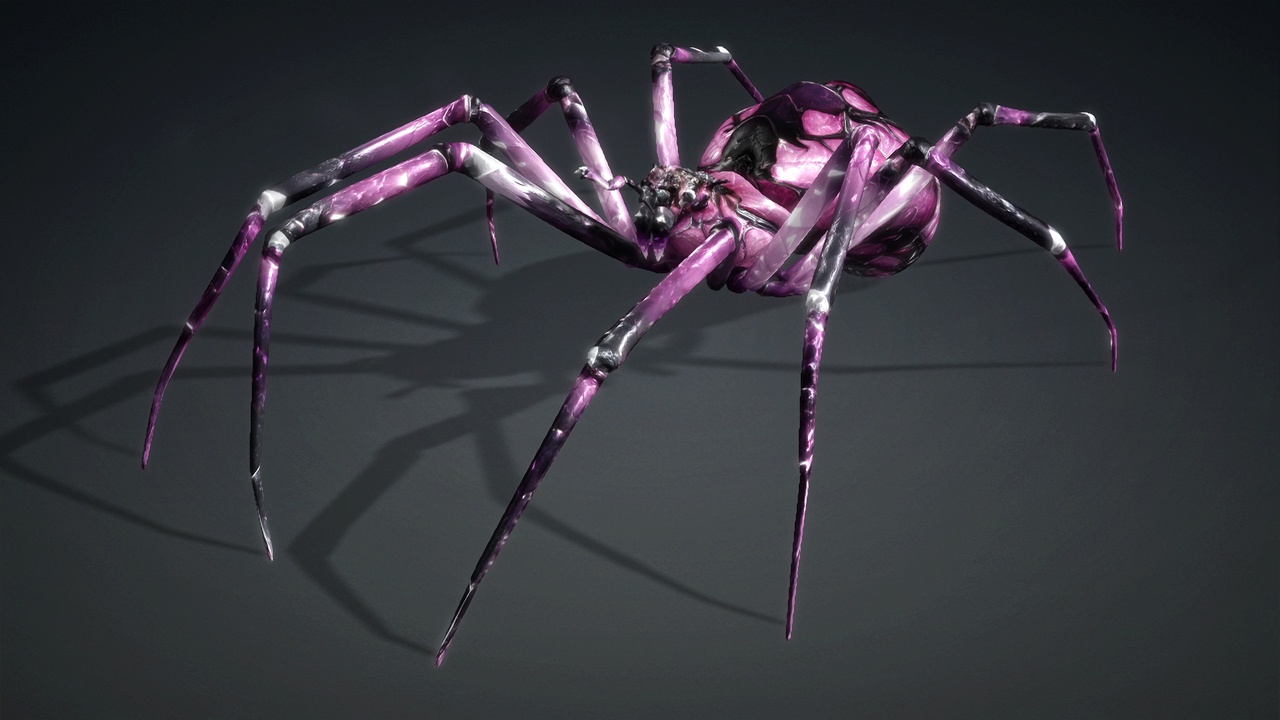 Media 1 for listing Spider_V6b