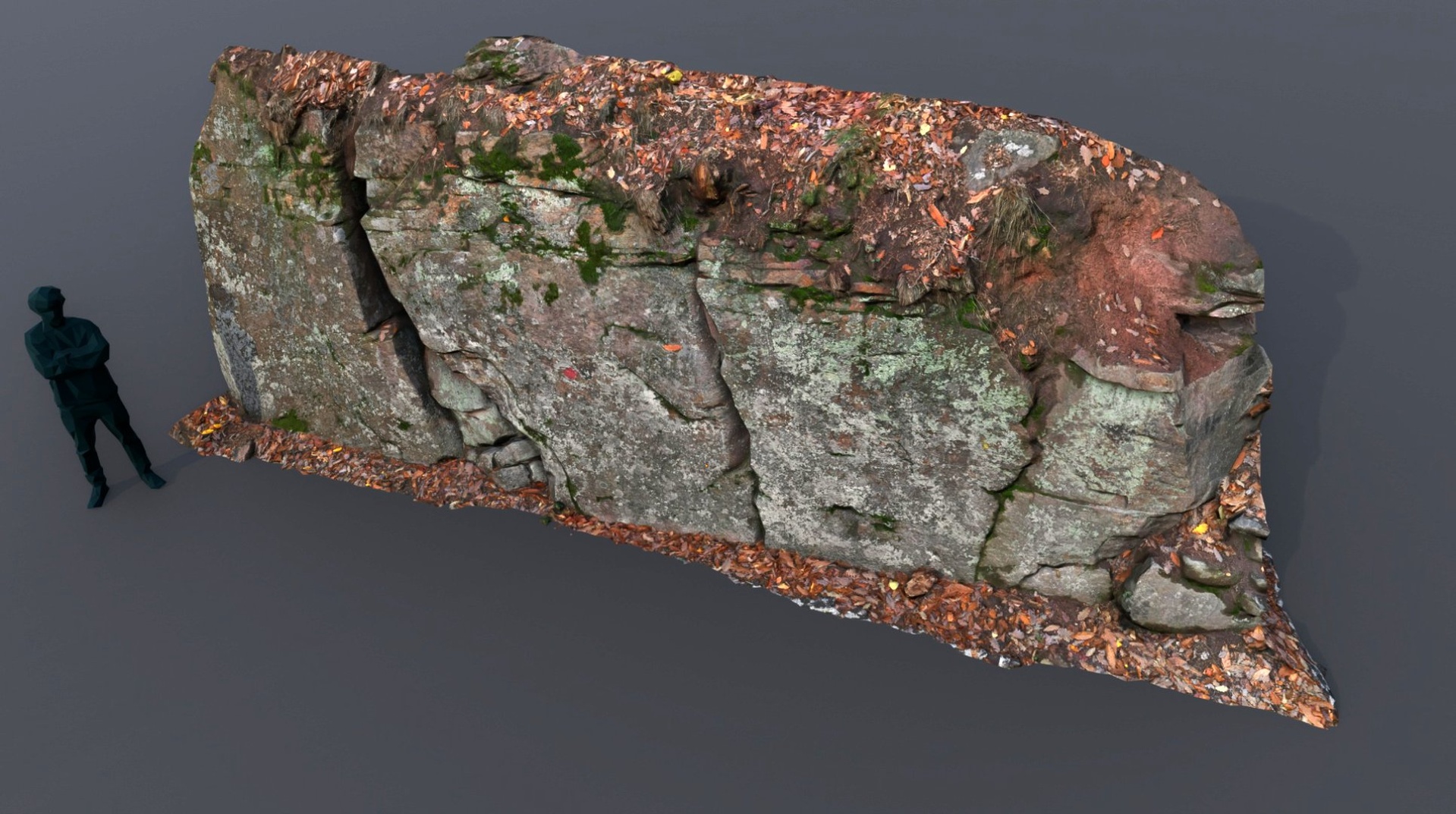Media 1 for listing rock wall forest ground module