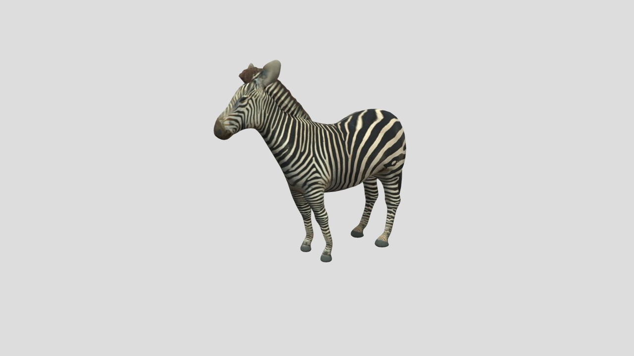 Media 1 for listing Low-Poly Zebra