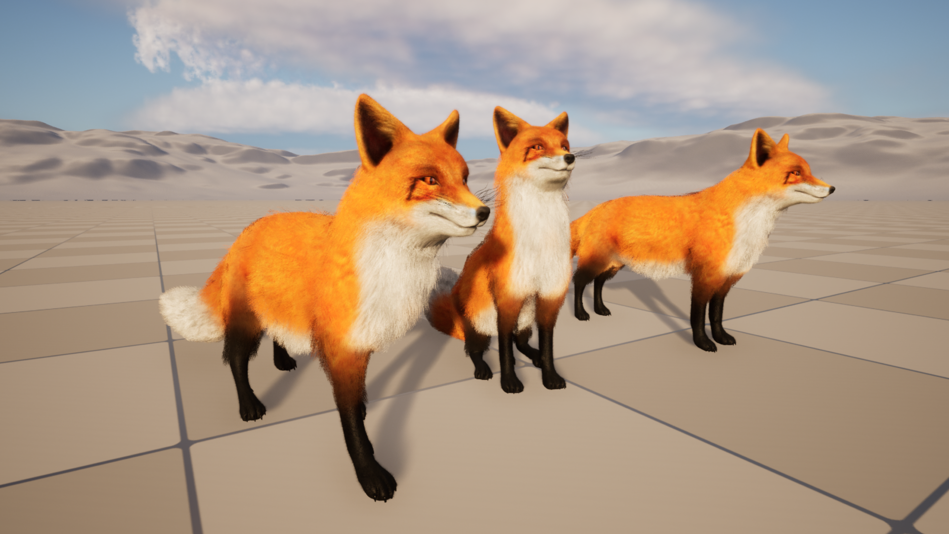 Red Fox | Fab
