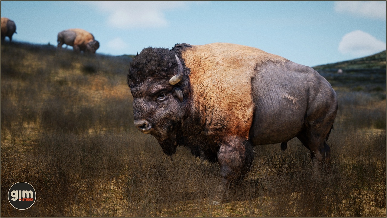 الوسائط 1 للقائمة Animalia - American Bison (male)