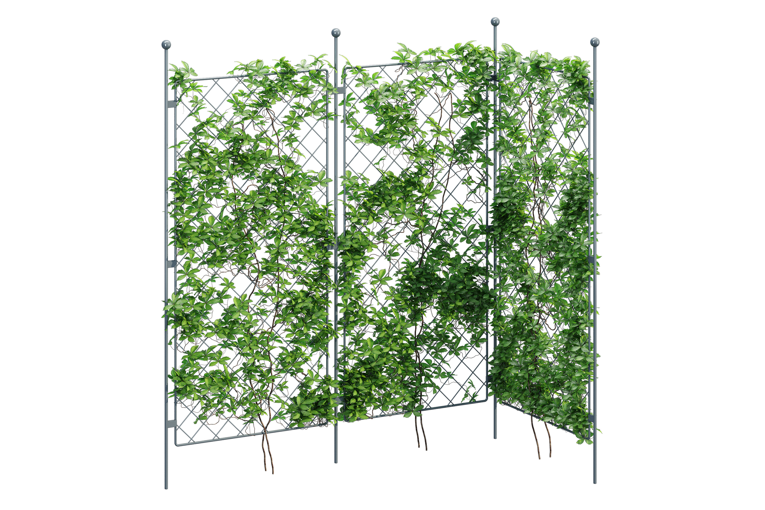 Harrod Trellis Growing Frames Vintage Wire Posts | Fab