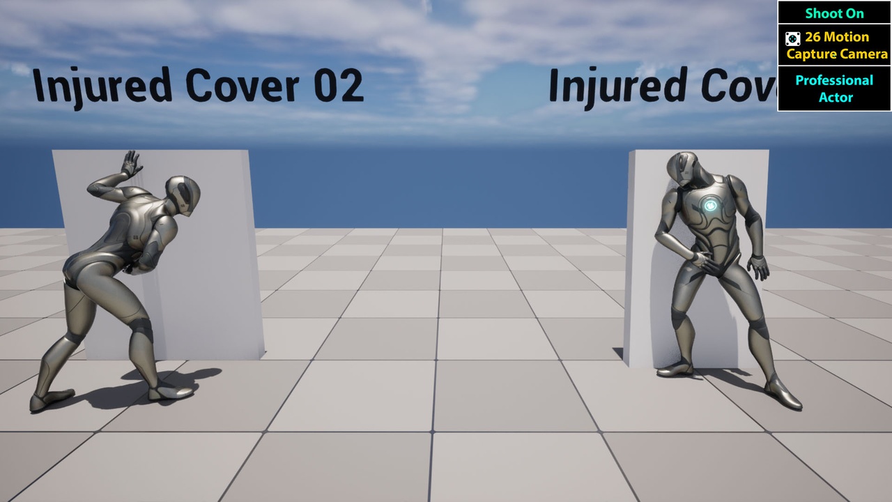 Media 1 for listing Injured Review Animation Set