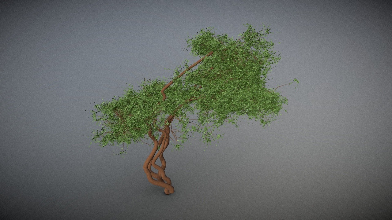 Acacia Tree 제품 등록을 위한 미디어 1개