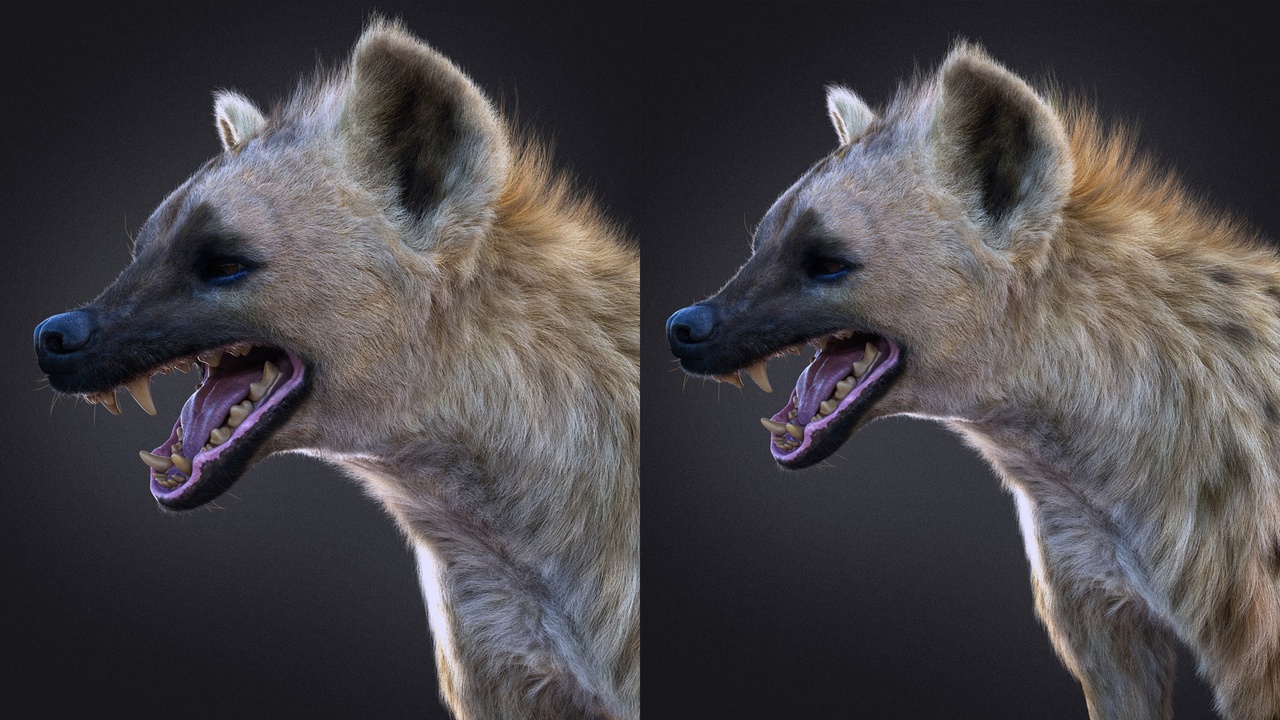 Media 1 for listing Hyena (RIG) Maya Xgen-Core