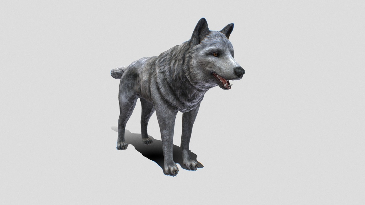 Media 1 for listing Wolf Low Poly