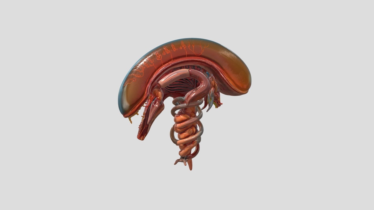 Media 1 for listing Xeno Creature 15