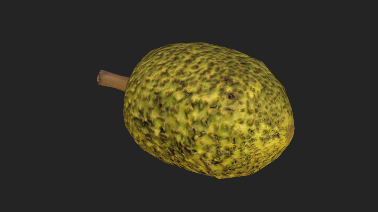 Media 1 for listing Spiky Durian