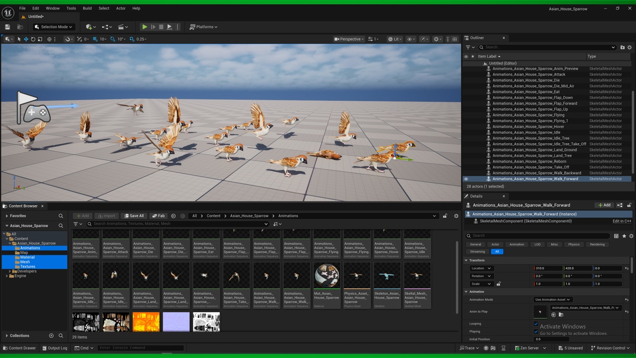 Media 1 for listing Asian House Sparrow