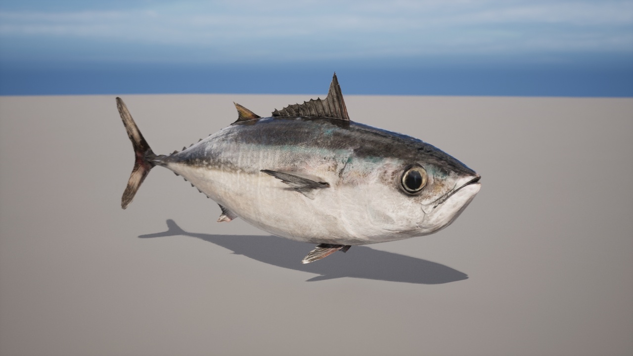 Media 1 for listing Japanese Sea Fish Pack