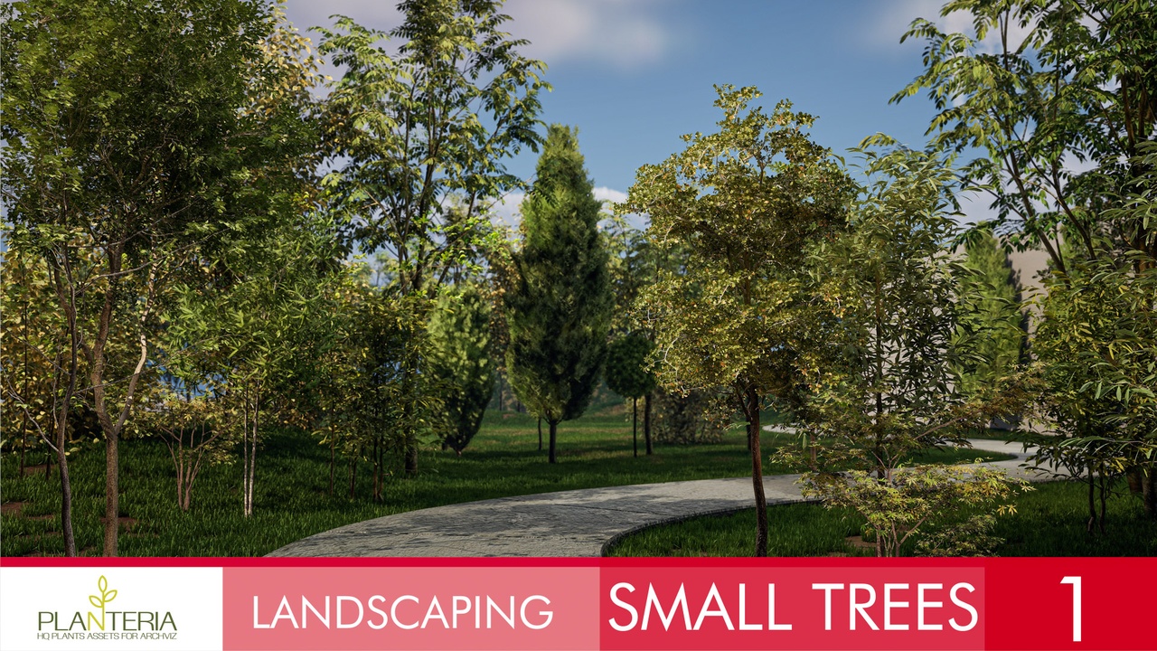 Media 1 for listing Landscaping Small Trees 1