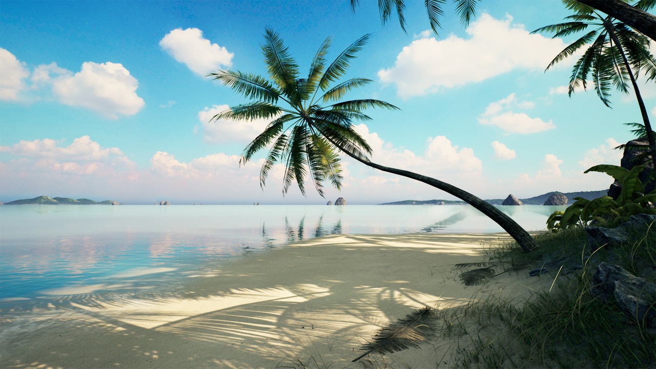 Media 1 for listing Brushify - Tropical Pack
