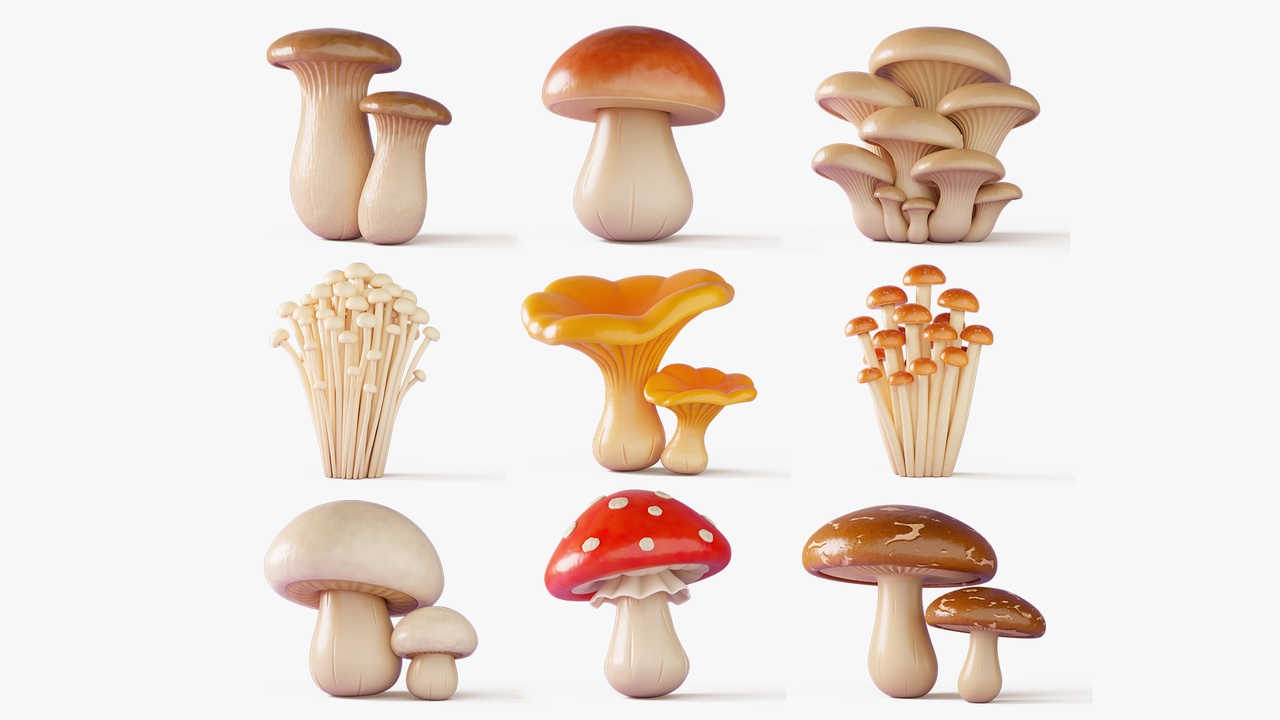 Media 1 for listing Cartoon Mushroom Collection