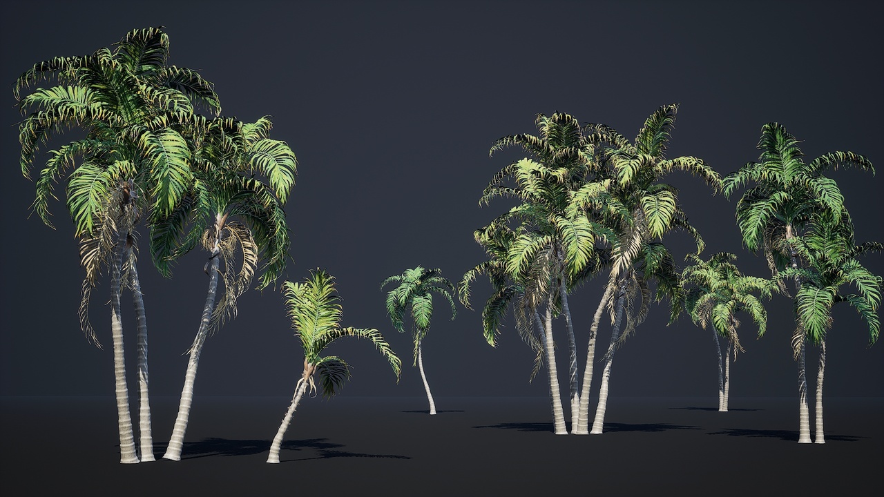 Media 1 for listing High-precision palm trees