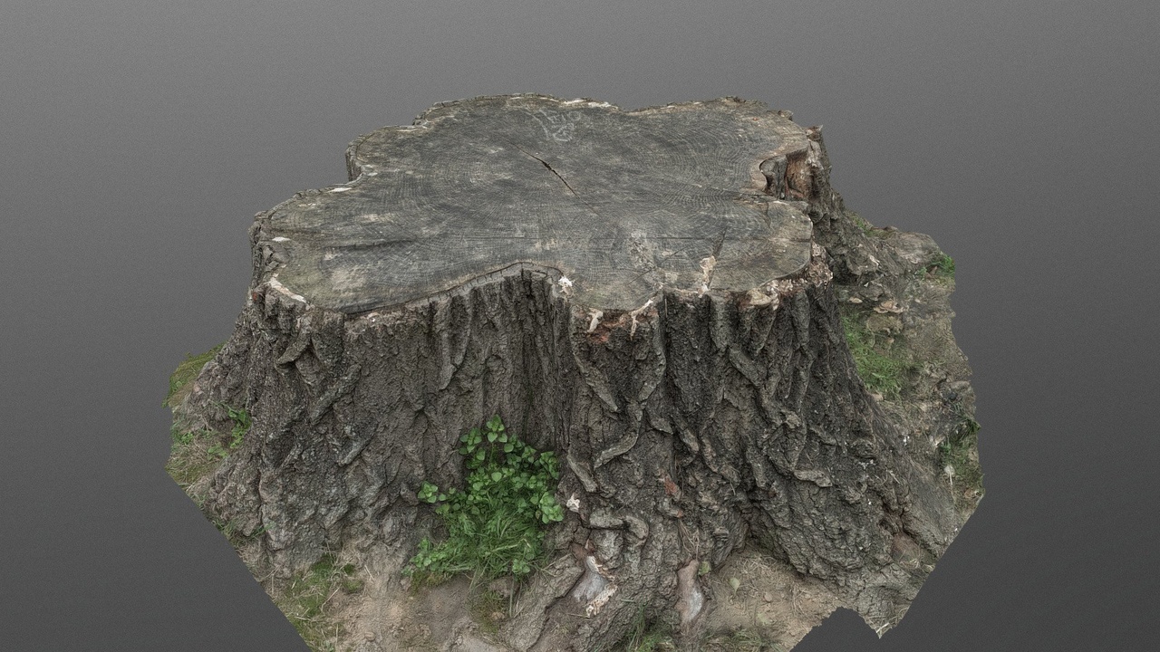 Media 1 for listing Aspen grass stump
