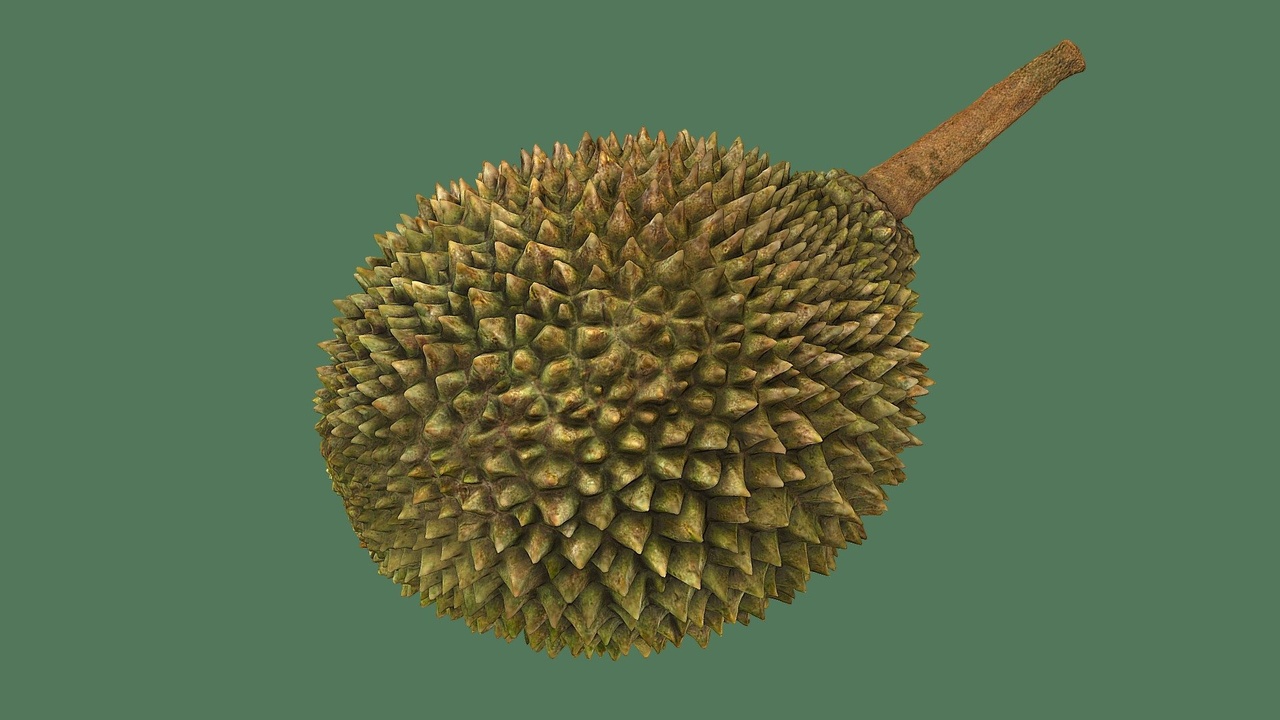 Media 1 for listing Durian fruit