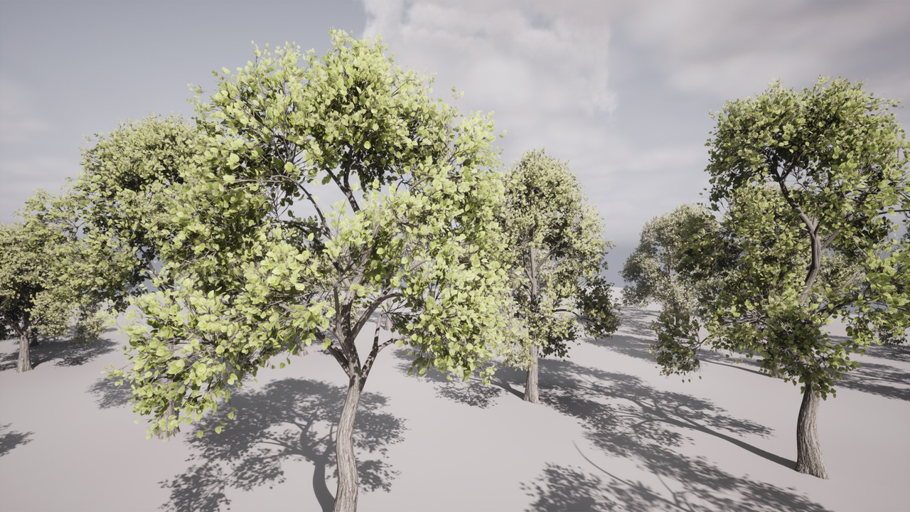 Media 1 for listing HighPoly Tree Model