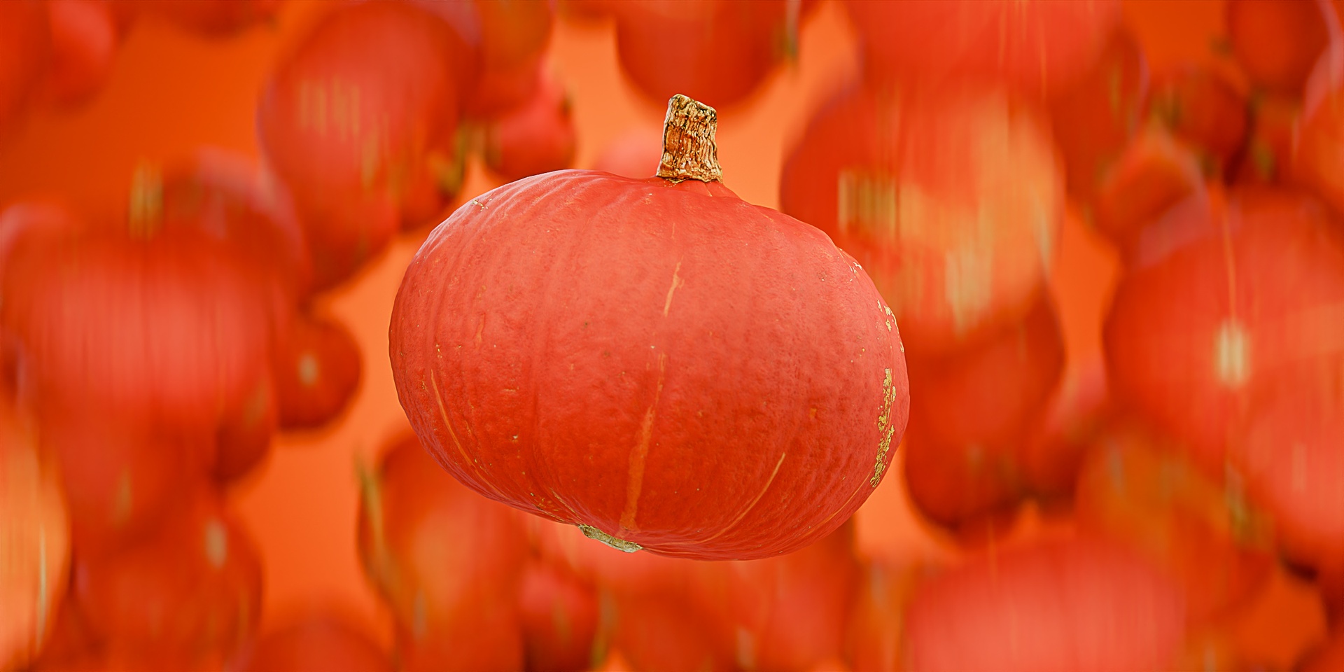 Media 1 for listing 3D Scan - Pumpkin 1