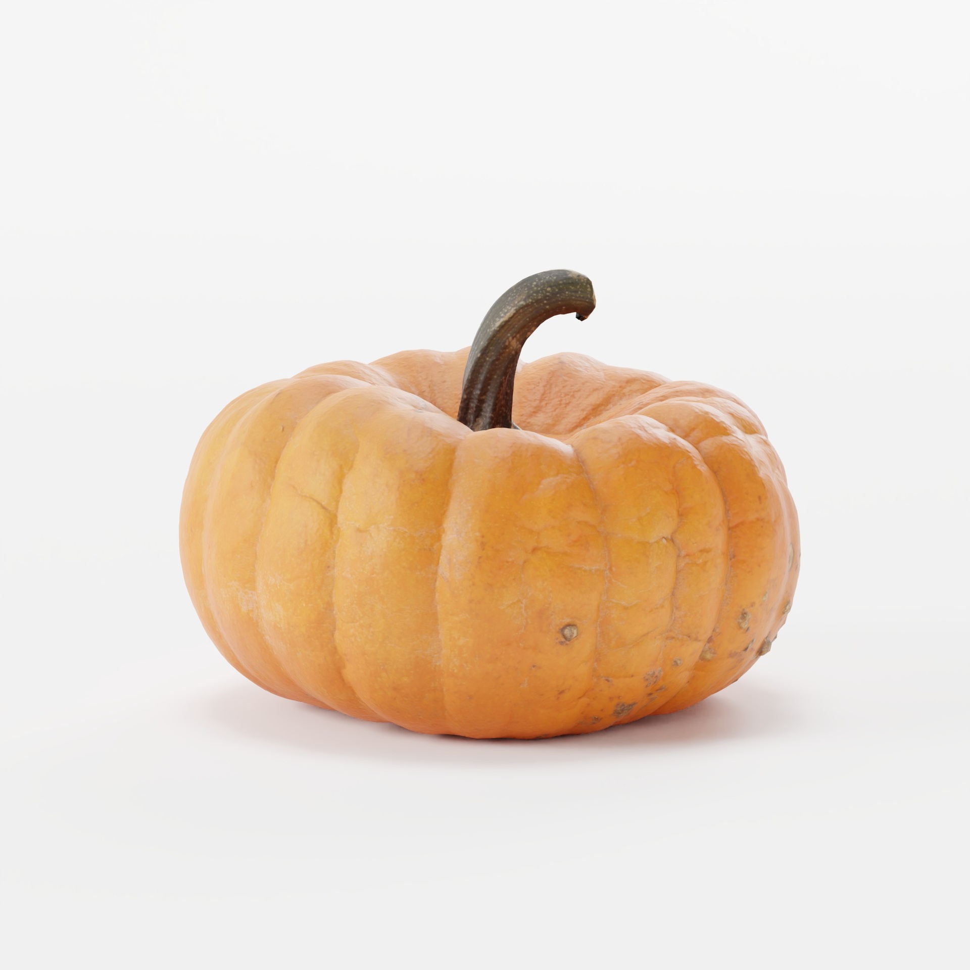 商品 Pumpkin 的媒体 1