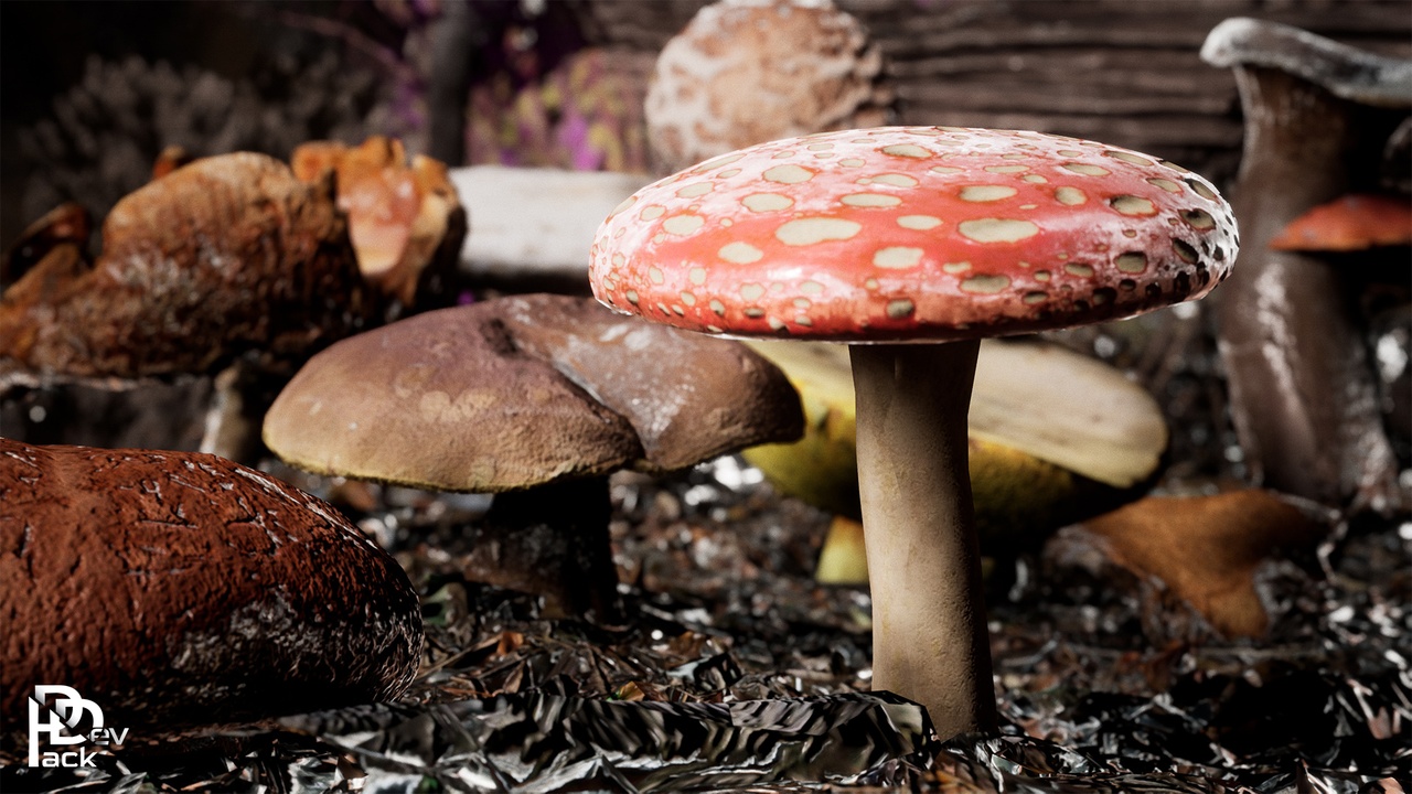 出品Mushrooms Package / 150+ Assetsのメディア1