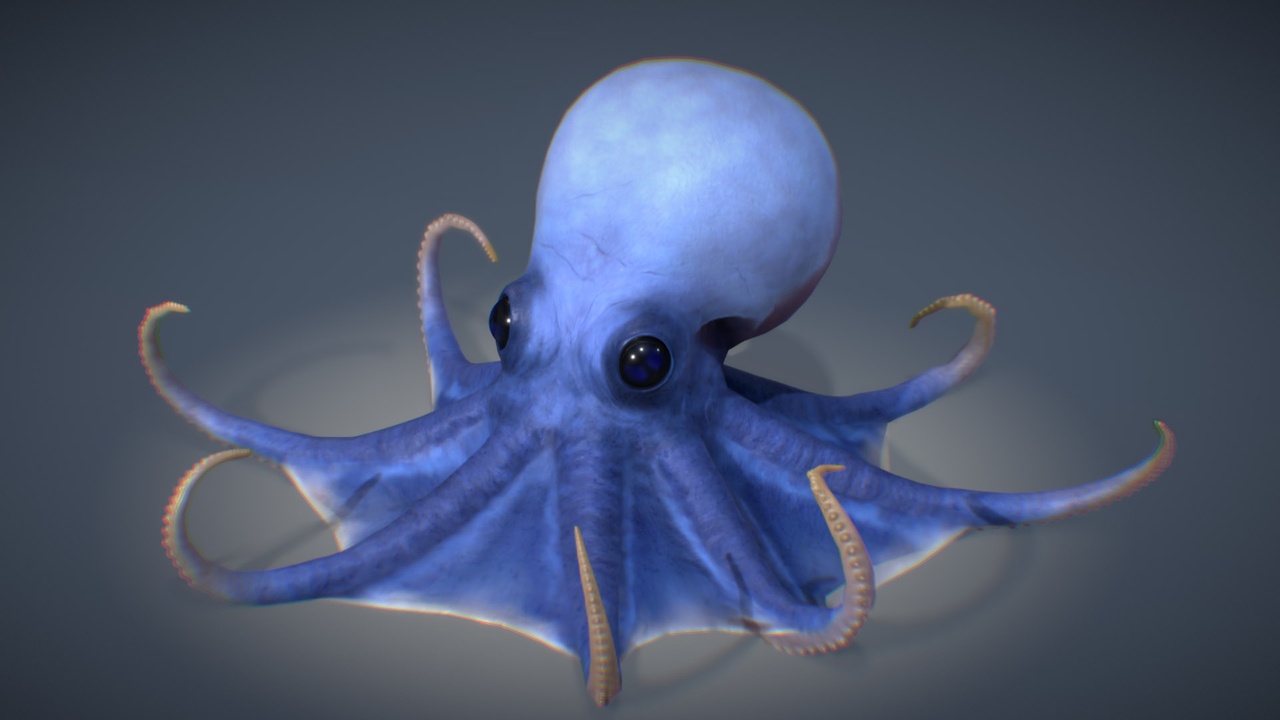 Media 1 for listing Galápagos Tiny Blue Octopus