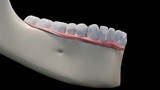 Human Tooth Anatomy Cross-Section - Dental Medical Model | Fab