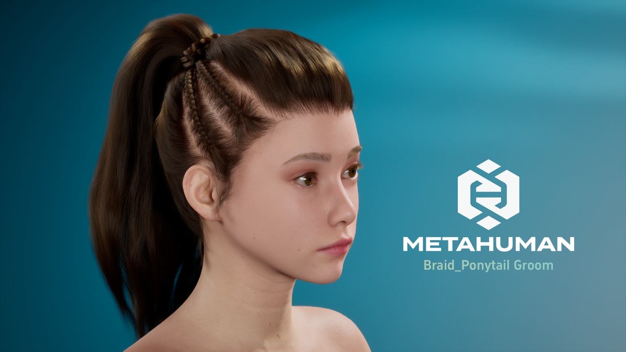 Media 1 for listing MetaHuman Braid Ponytail Groom Hair