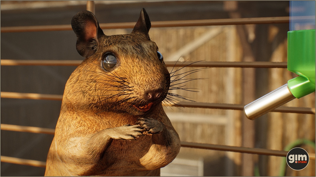 Animalia - Degu ilanı için 1. medya