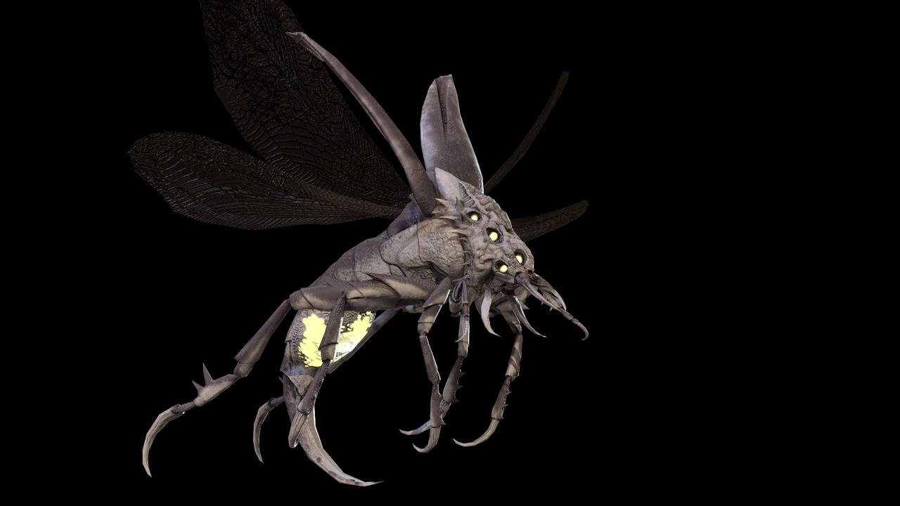 Media 1 for listing Flying Beetle 6