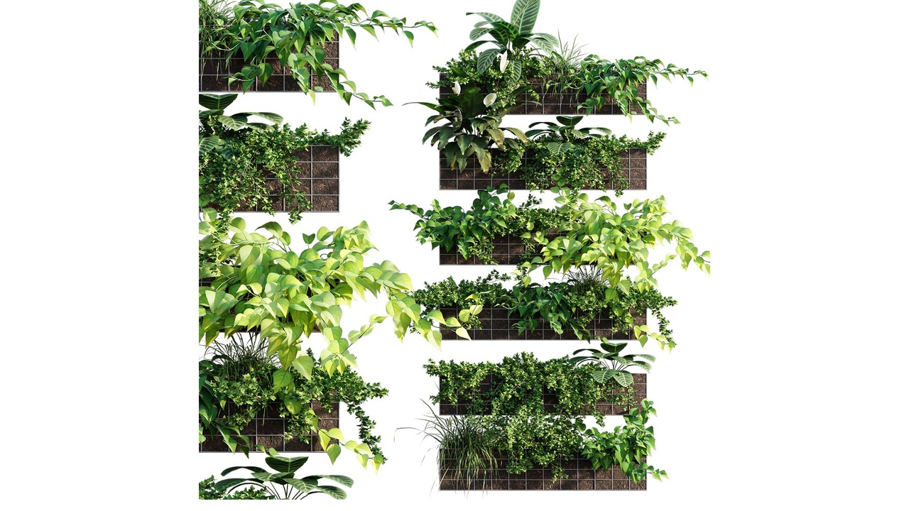 Media 1 for listing Vertical garden - Green wall 17