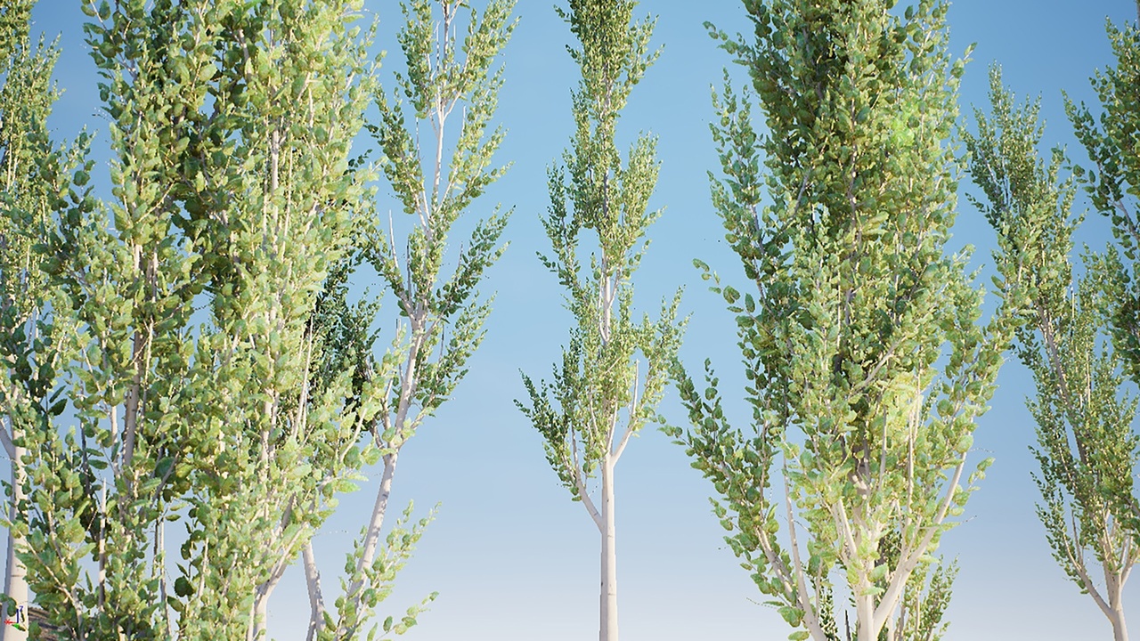 Media 1 for listing HighPoly Tree Bundle 3 (5 in 1)