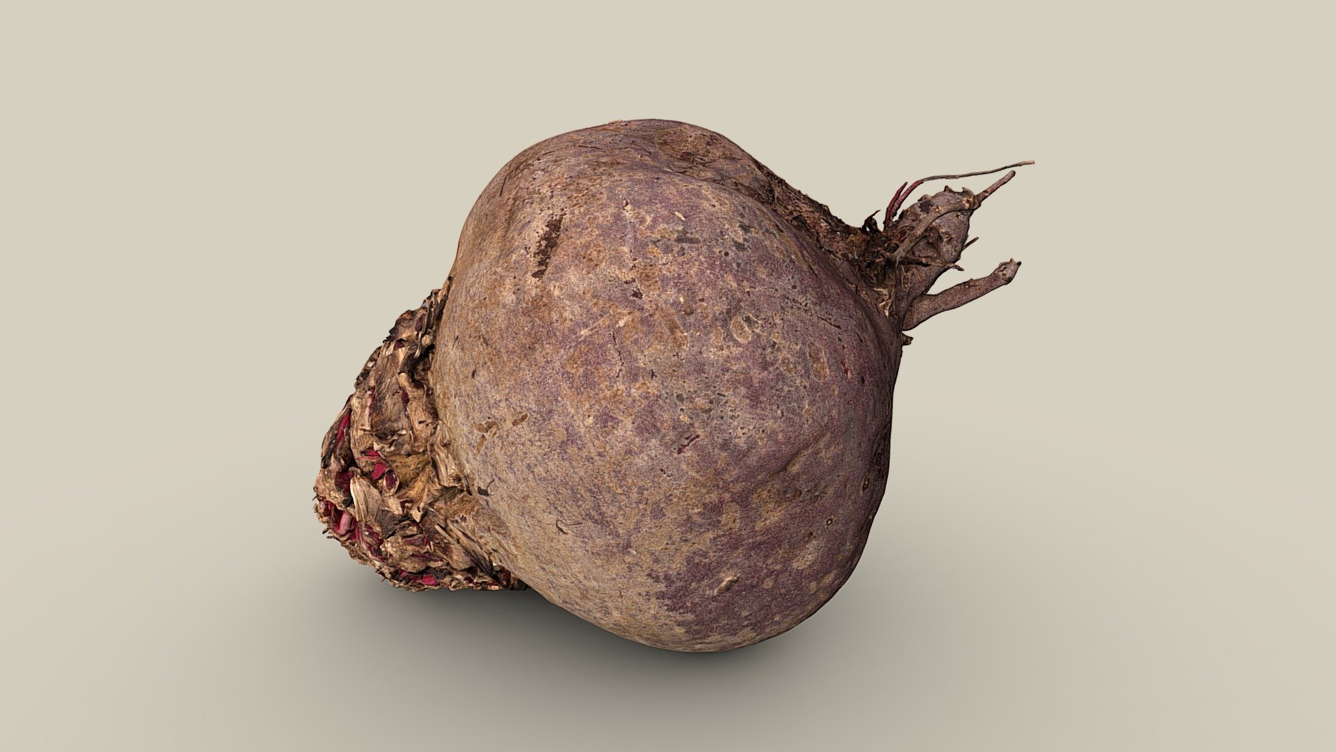 Vegetable shop - Beetroot | Fab