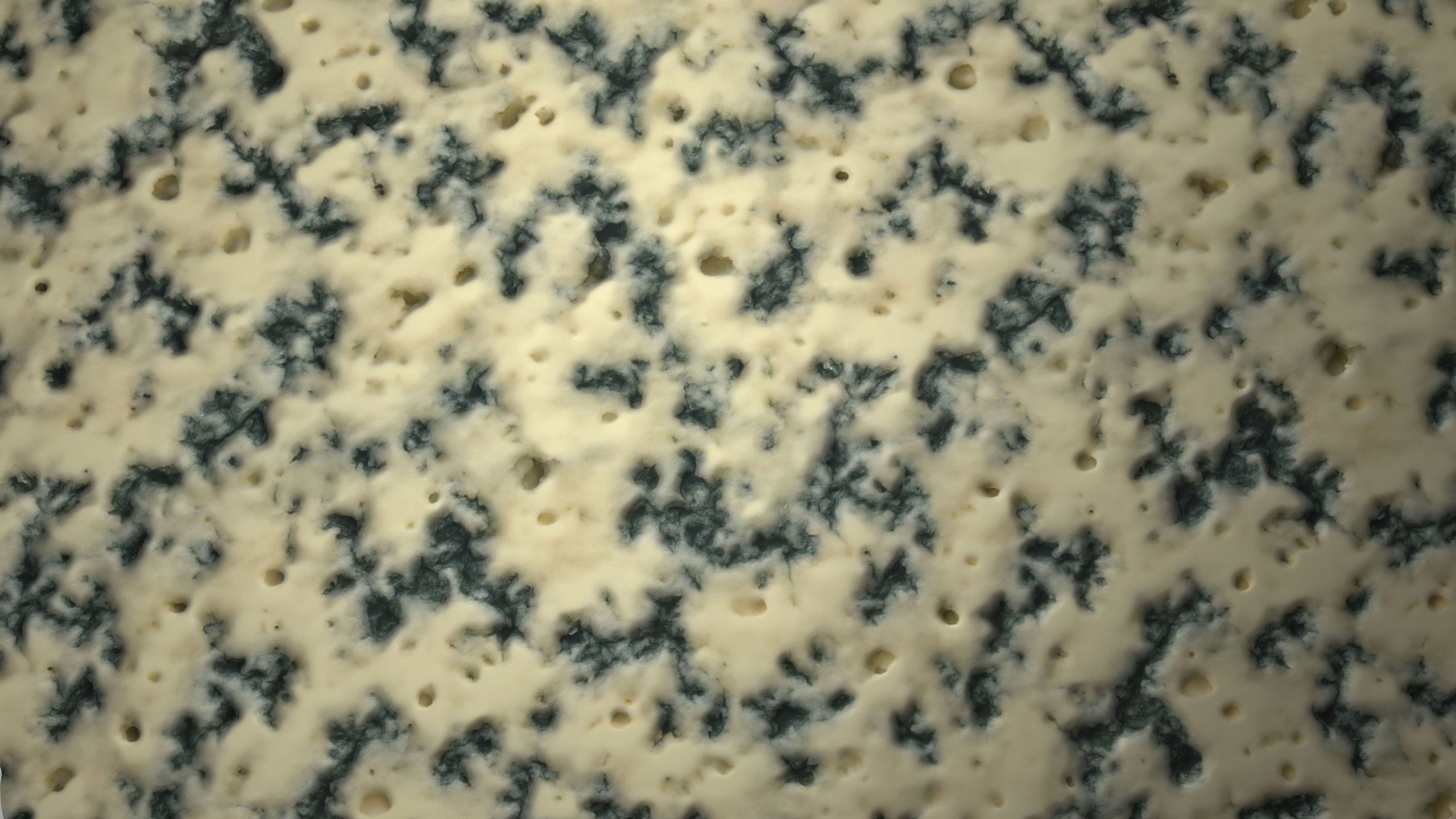 Media 1 for listing Blue Cheese PBR Texture