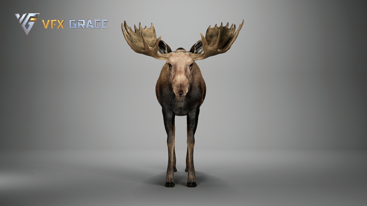 Media 1 for listing 3D Model Moose Male - Unreal Engine Character Asset
