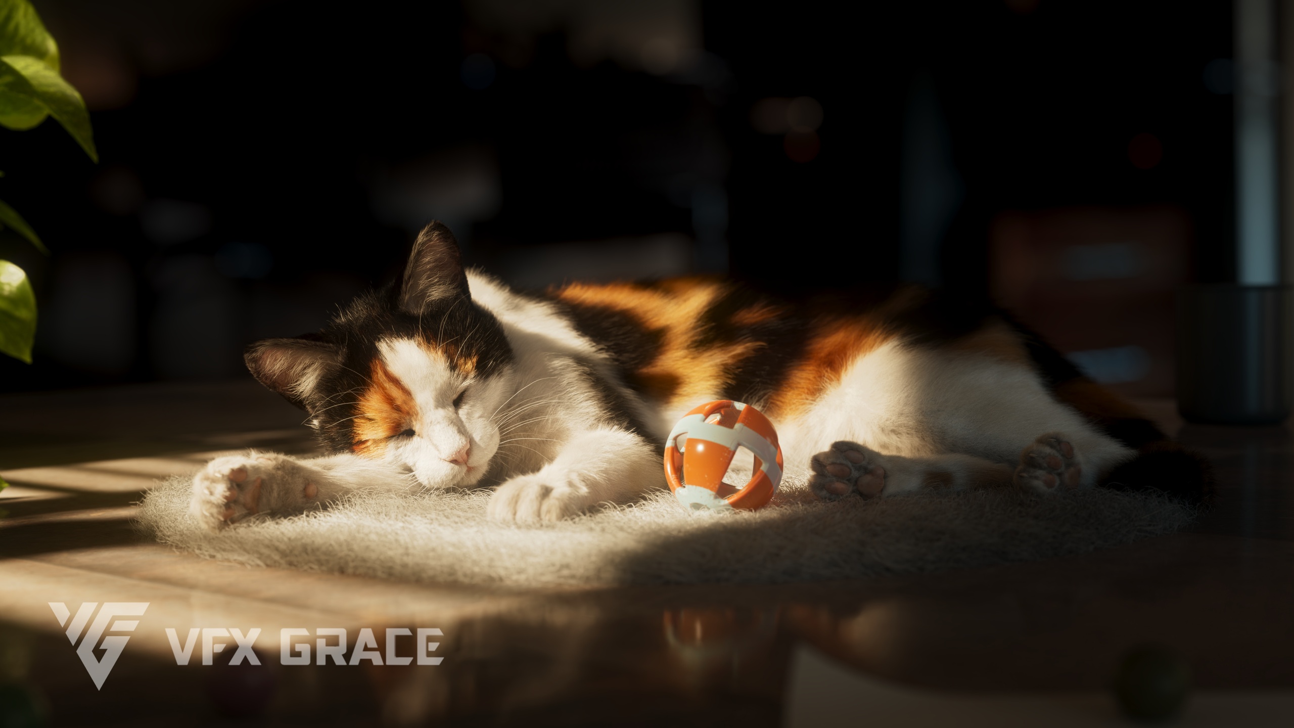 Media 1 for listing Calico Cat 02 Animation