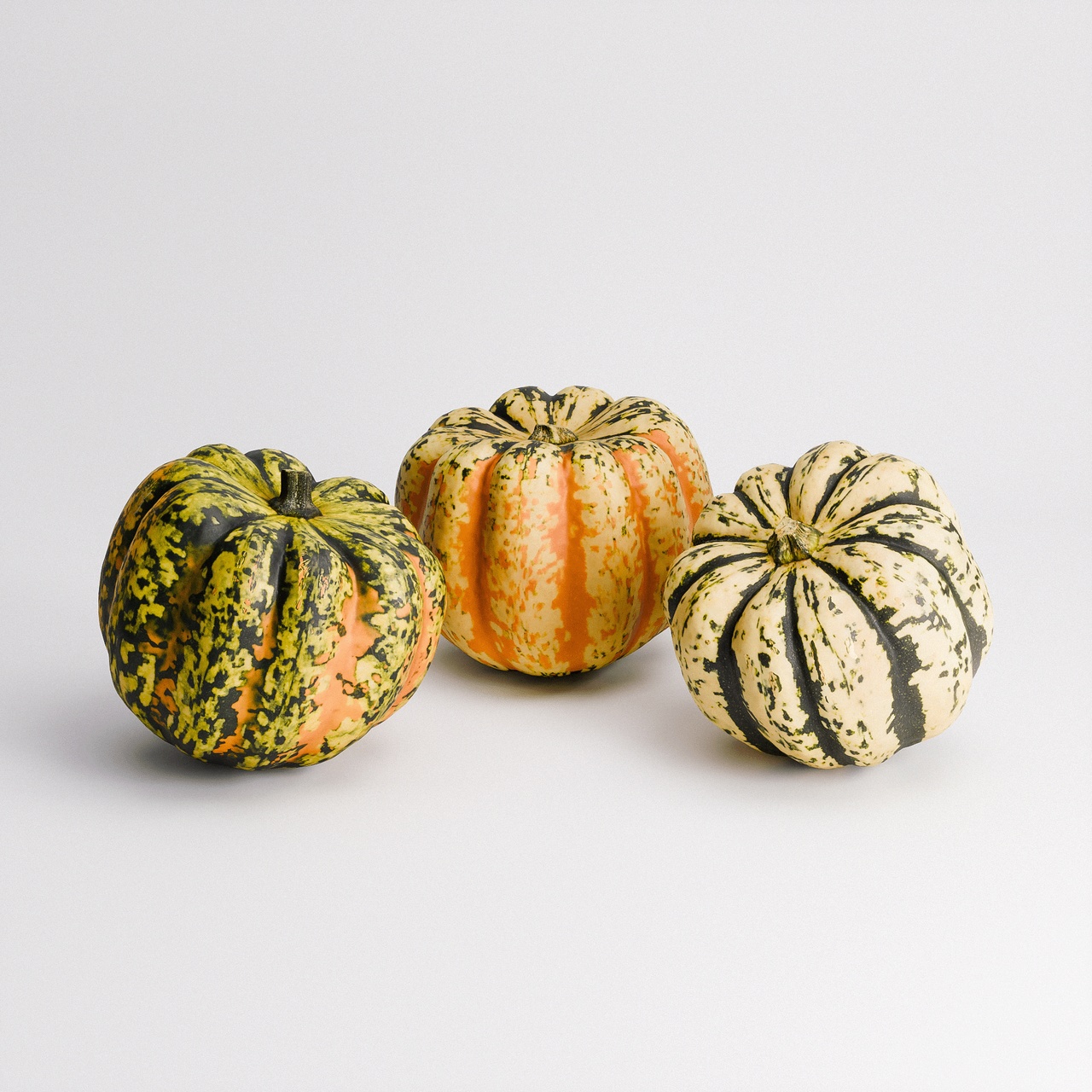 Media 1 for listing Carnival Squash Set 01