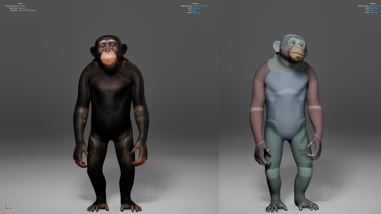 Media 1 for listing Metahuman Chimpanzee Character
