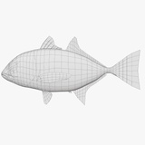 Free Sample Fish 3D Model - MEA AQUA | Fab