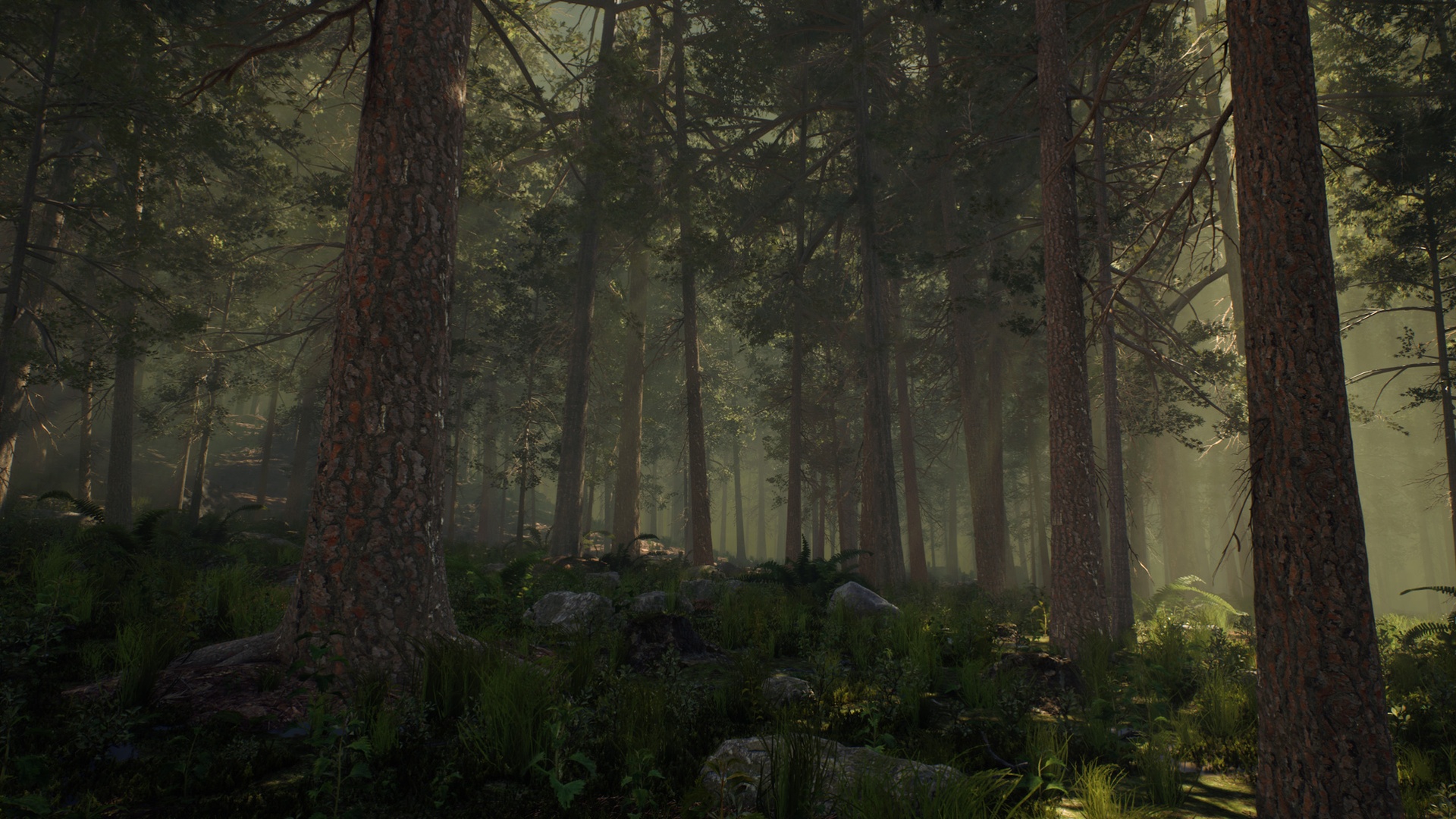 Media 1 for listing Pine Trees Forest Biome