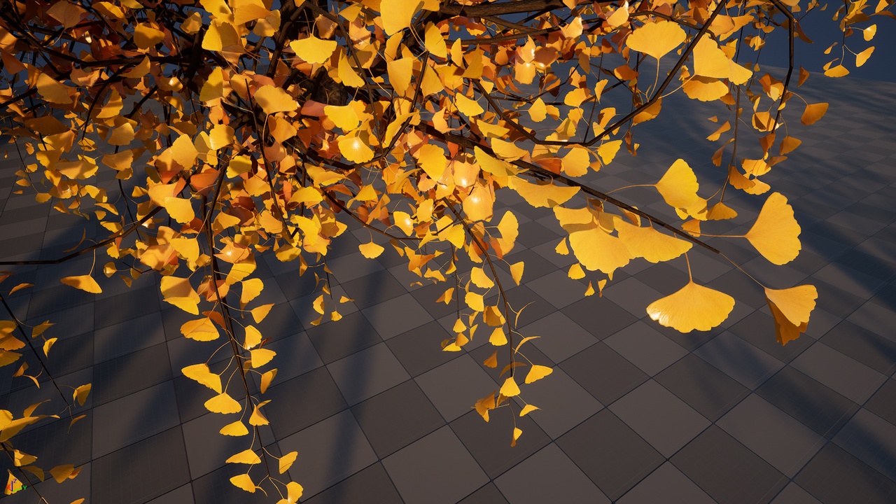 Media 1 for listing GinkgoTree Pack
