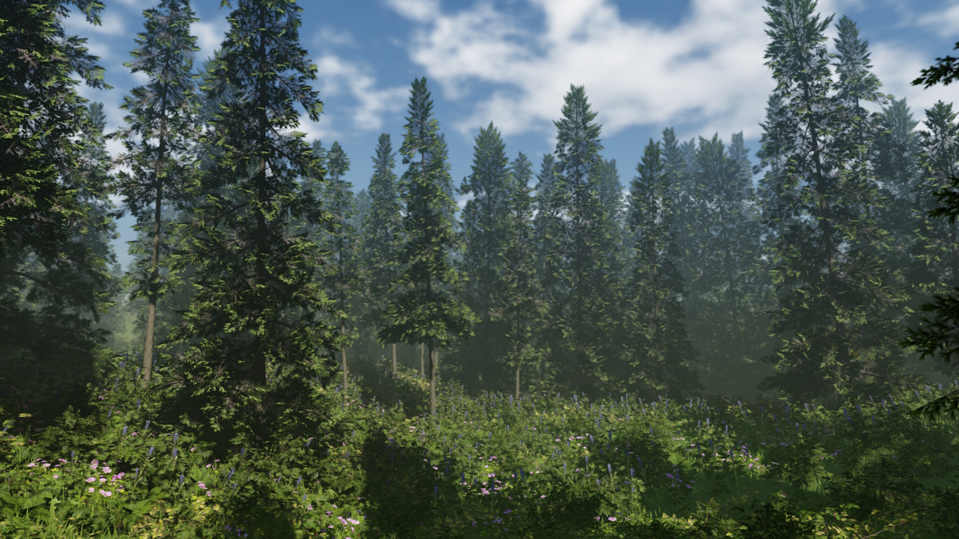 Norway Spruce Forest Tree Pack | Fab