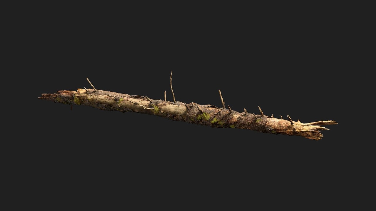 商品 Nordic Forest Tree Log Large 的媒体 1