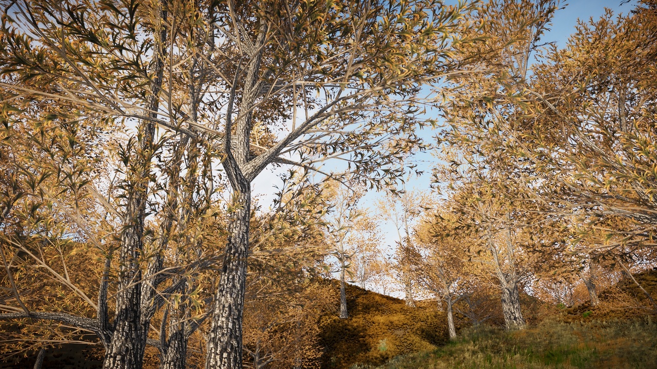 Media 1 for listing Mobile Trees Pack 41