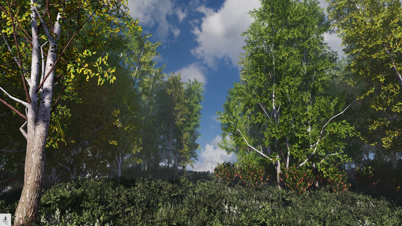 Media 1 for listing Realistic Norwegian Mountain Birch Pack