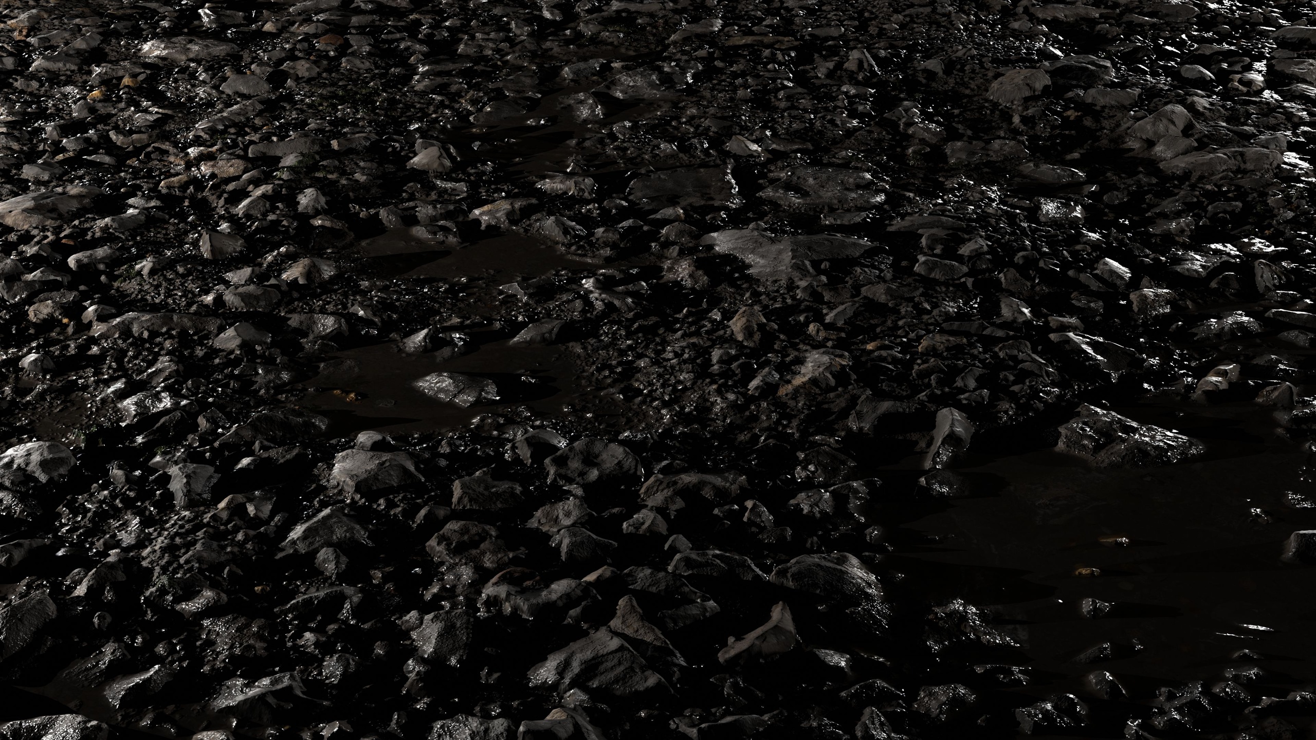 Media 1 for listing Wet Path 8K PBR Texture