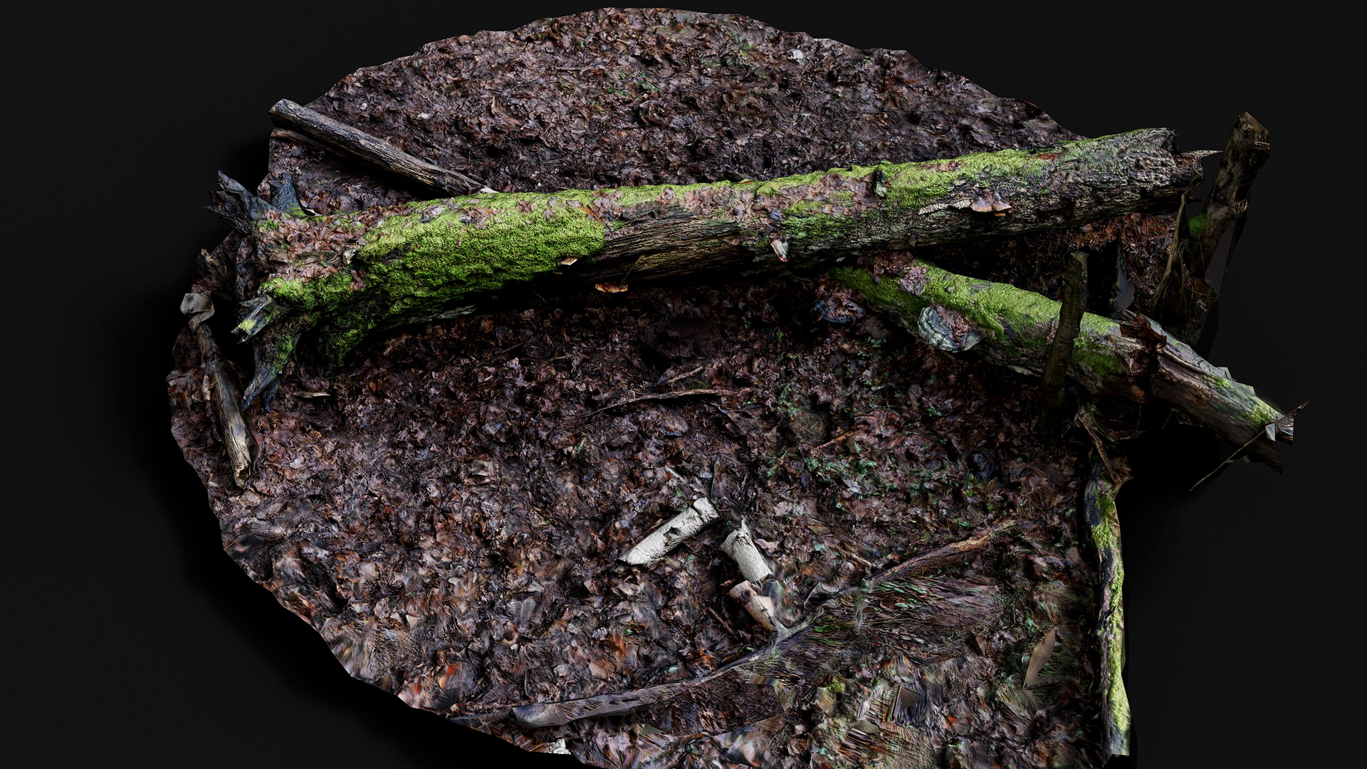 broken tree mossy stump forest ground pt5 PBR photogrammetry | Fab